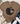 A brown short-sleeve T-shirt laid flat on a white wood surface, styled with a knotted hem and surrounded by jeans, white sneakers, a striped throw blanket, and greenery. The shirt has a large apple graphic with a leopard-print pattern and a tan heart shape.