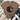 A brown short-sleeve T-shirt laid flat on a white wood surface, styled with a knotted hem and surrounded by jeans, white sneakers, a striped throw blanket, and greenery. The shirt has a large apple graphic with a leopard-print pattern and a tan heart shape.