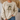 A person wearing a beige crewneck sweatshirt with a graphic of a frog in sunglasses holding a coffee mug, with the text 'First Of All, Jesus Thinks I'm A Delight'.