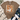 A brown short-sleeve graphic T-shirt laid flat on a whitewashed wood surface, styled with a cream throw blanket, blue jeans, white sneakers, and green leaves. The shirt features a central autumn-themed illustration of a white goose wearing orange heart-shaped sunglasses and holding an iced coffee, with pumpkins, leaves, and striped wood panels in the background.
