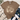 A brown short-sleeve graphic T-shirt laid flat on a whitewashed wood surface, styled with a cream western-themed print reading 'find joy in the little things' with cactus, cowboy boots, dandelion, stars, and a hat. Surrounding props include a cream woven throw, blue jeans, and white sneakers.