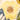 A yellow short-sleeve t-shirt with a Thanksgiving turkey graphic, styled in a flat lay with blue jeans, white sneakers, a straw hat, and eucalyptus on a white wood background.